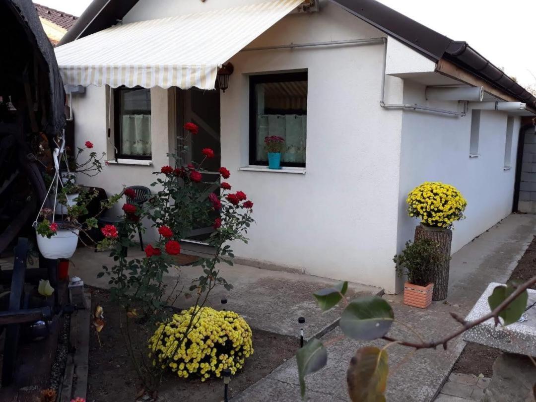 Joy Residence Timișoara Zewnętrze zdjęcie