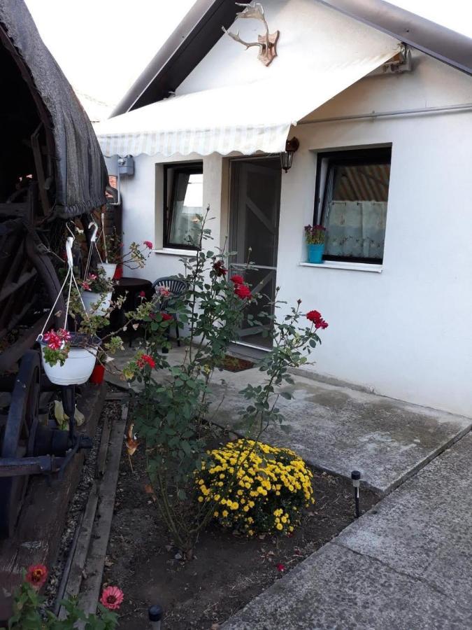 Joy Residence Timișoara Zewnętrze zdjęcie