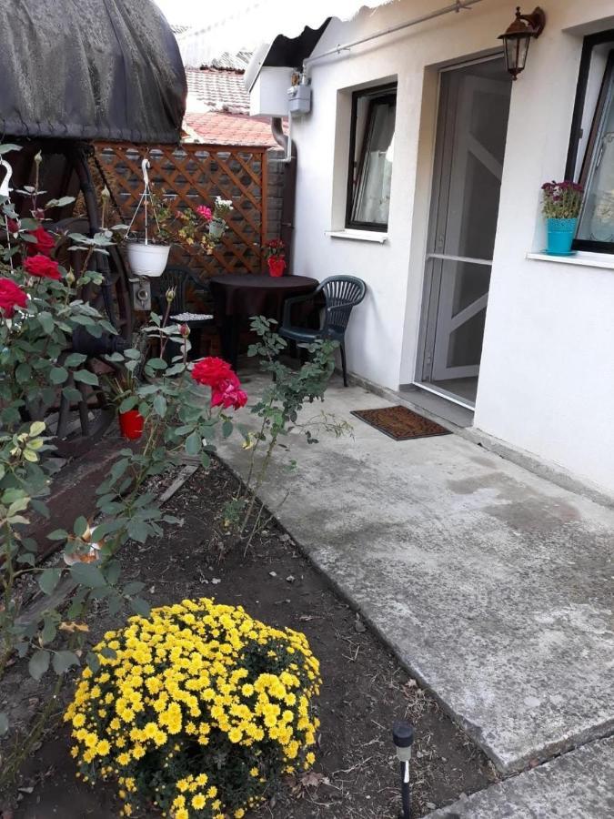Joy Residence Timișoara Zewnętrze zdjęcie